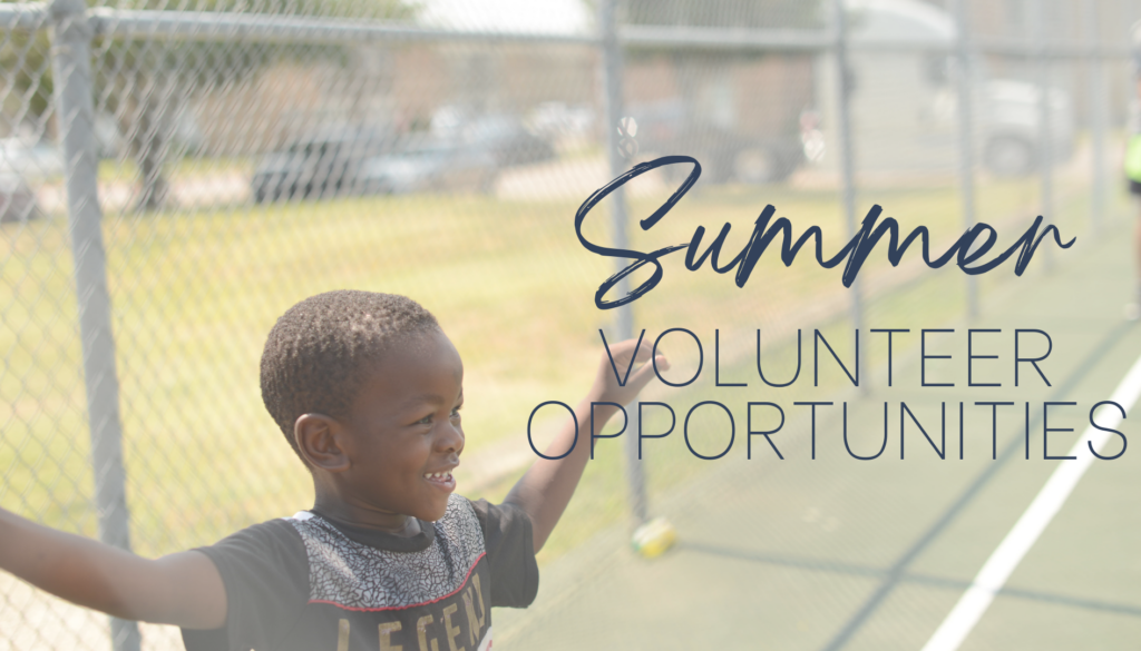 Summer Volunteer Blog