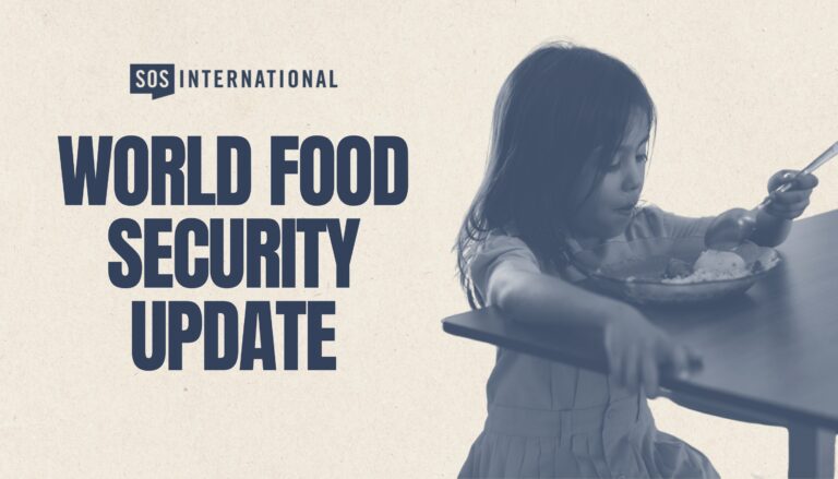 World Food Security Update